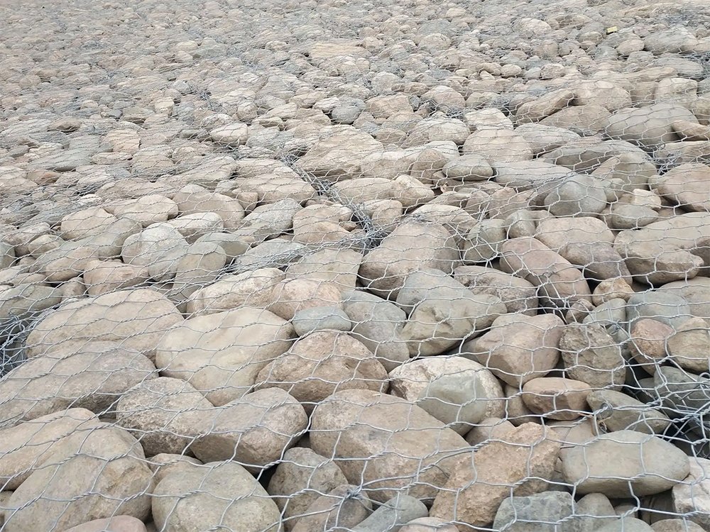 濠江區河道石籠網