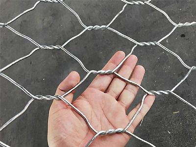 天心區高爾凡格賓網