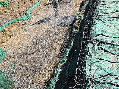 天心區河道格賓網