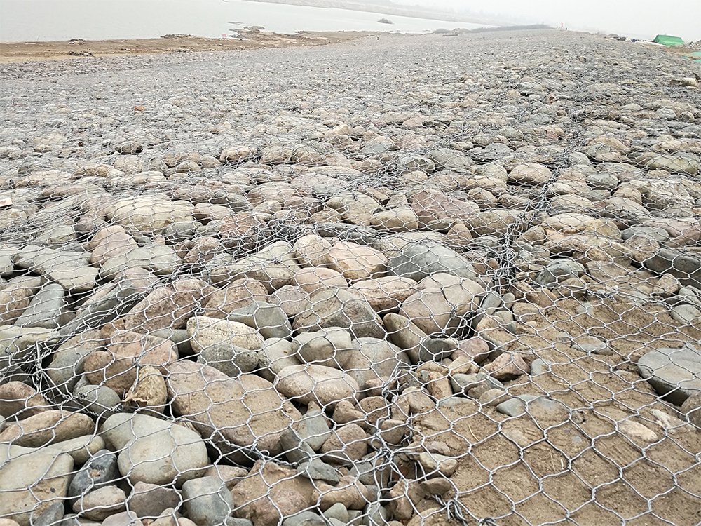 高爾凡雷諾護墊 高爾凡雷諾護墊