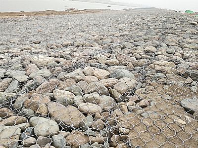 靈璧縣高爾凡雷諾護墊