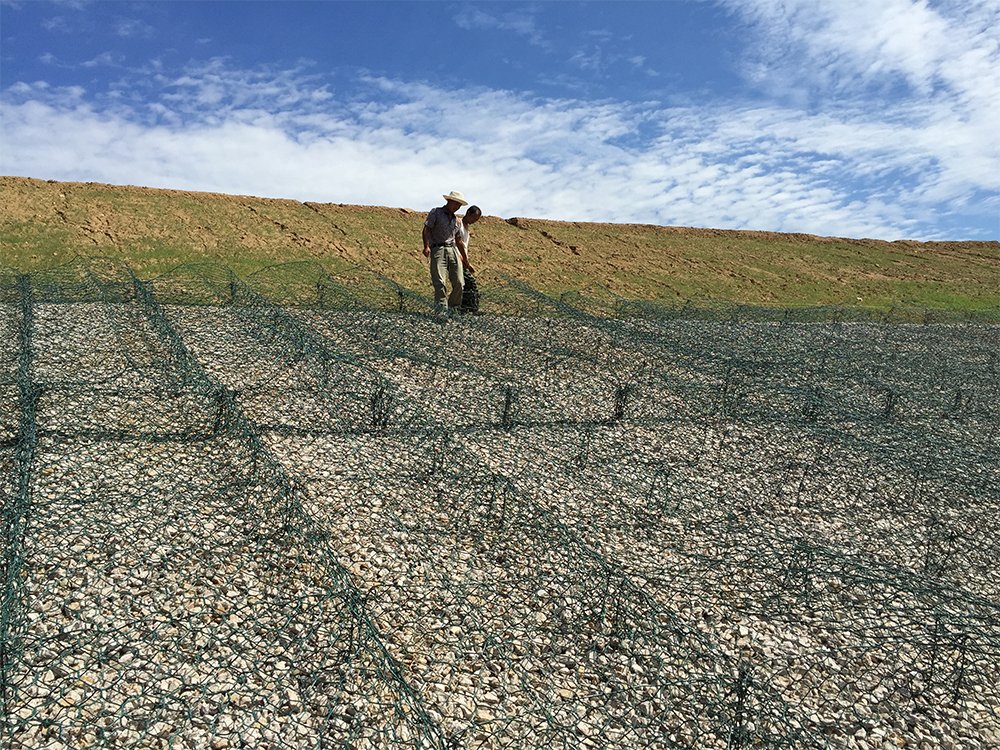 包塑雷諾護墊 包塑雷諾護墊