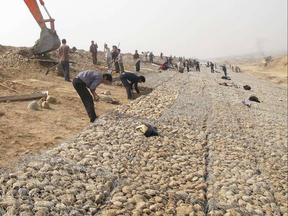 桐柏縣雙隔板雷諾護墊